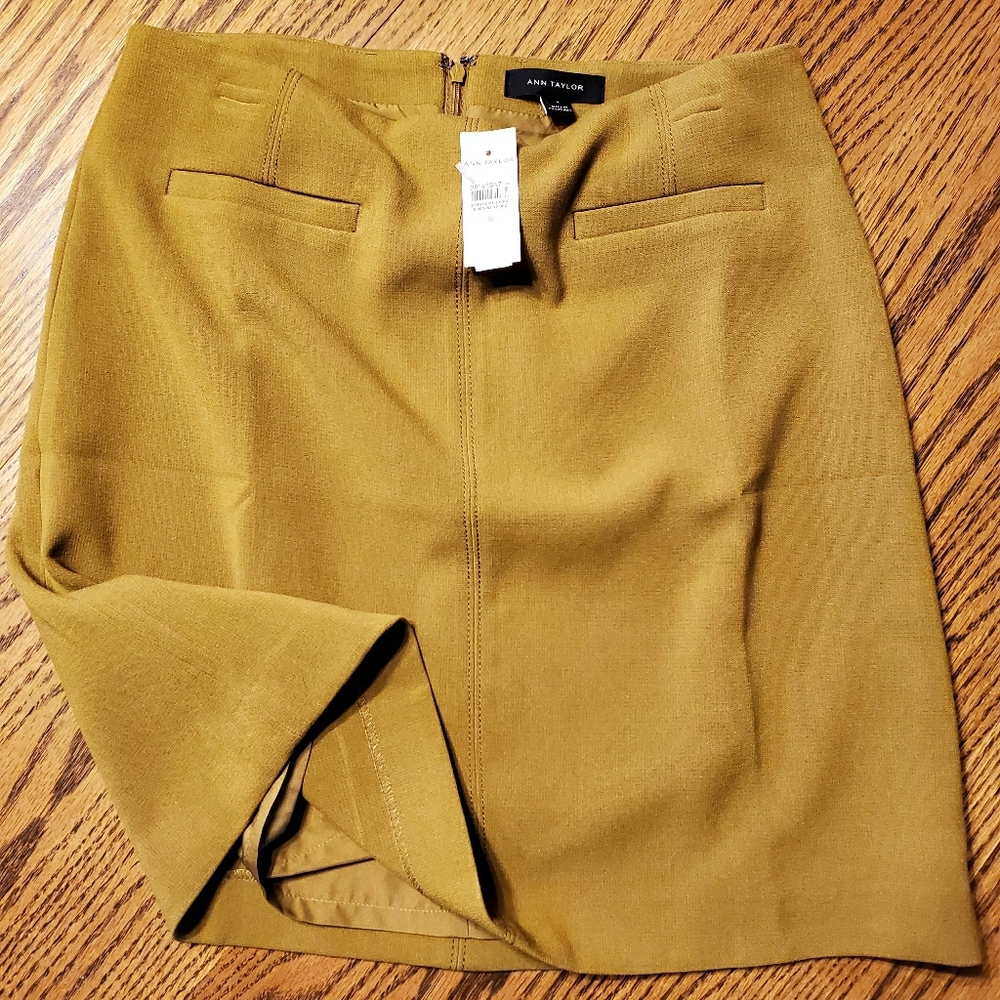 Ann Taylor Skirt